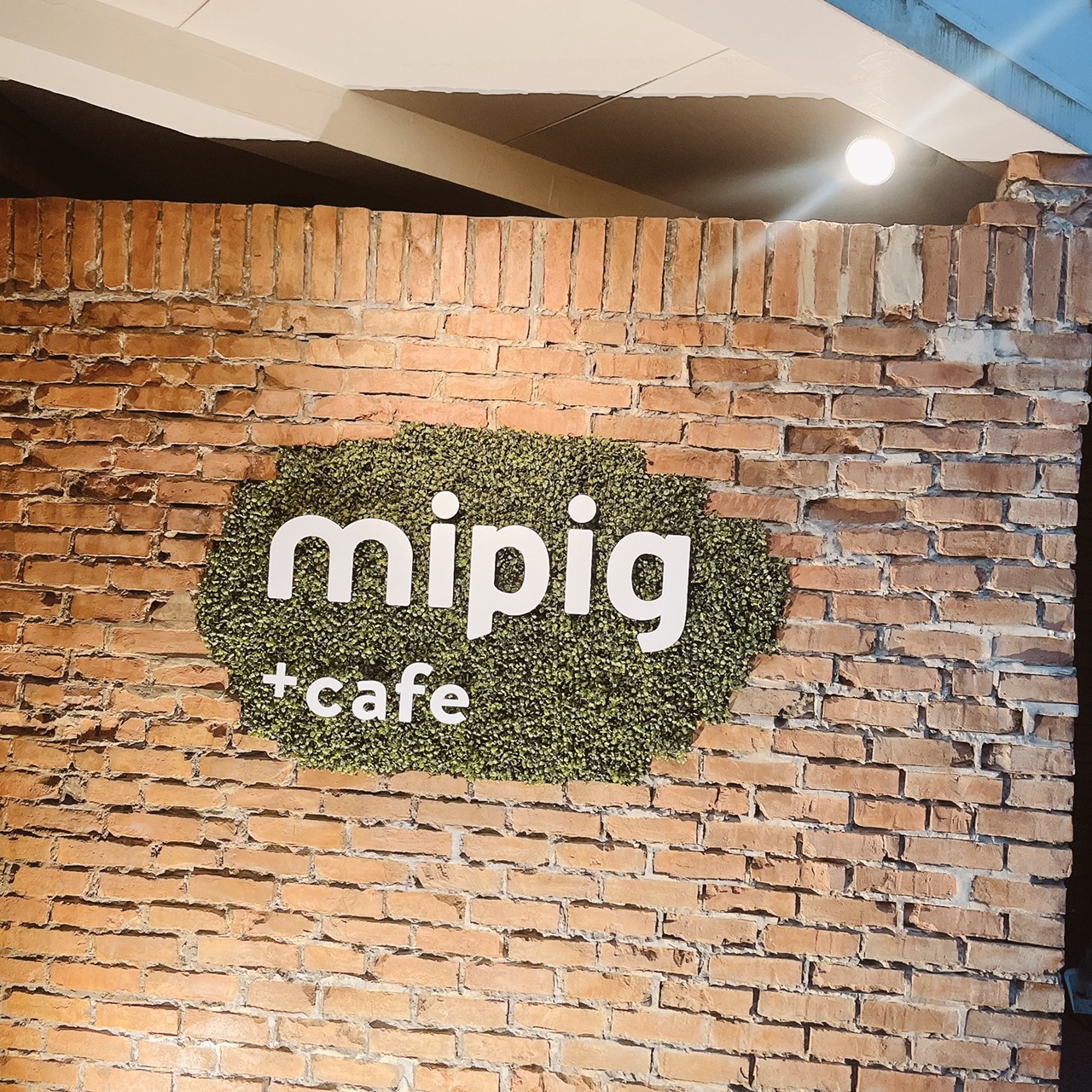 mipigCafe画像14