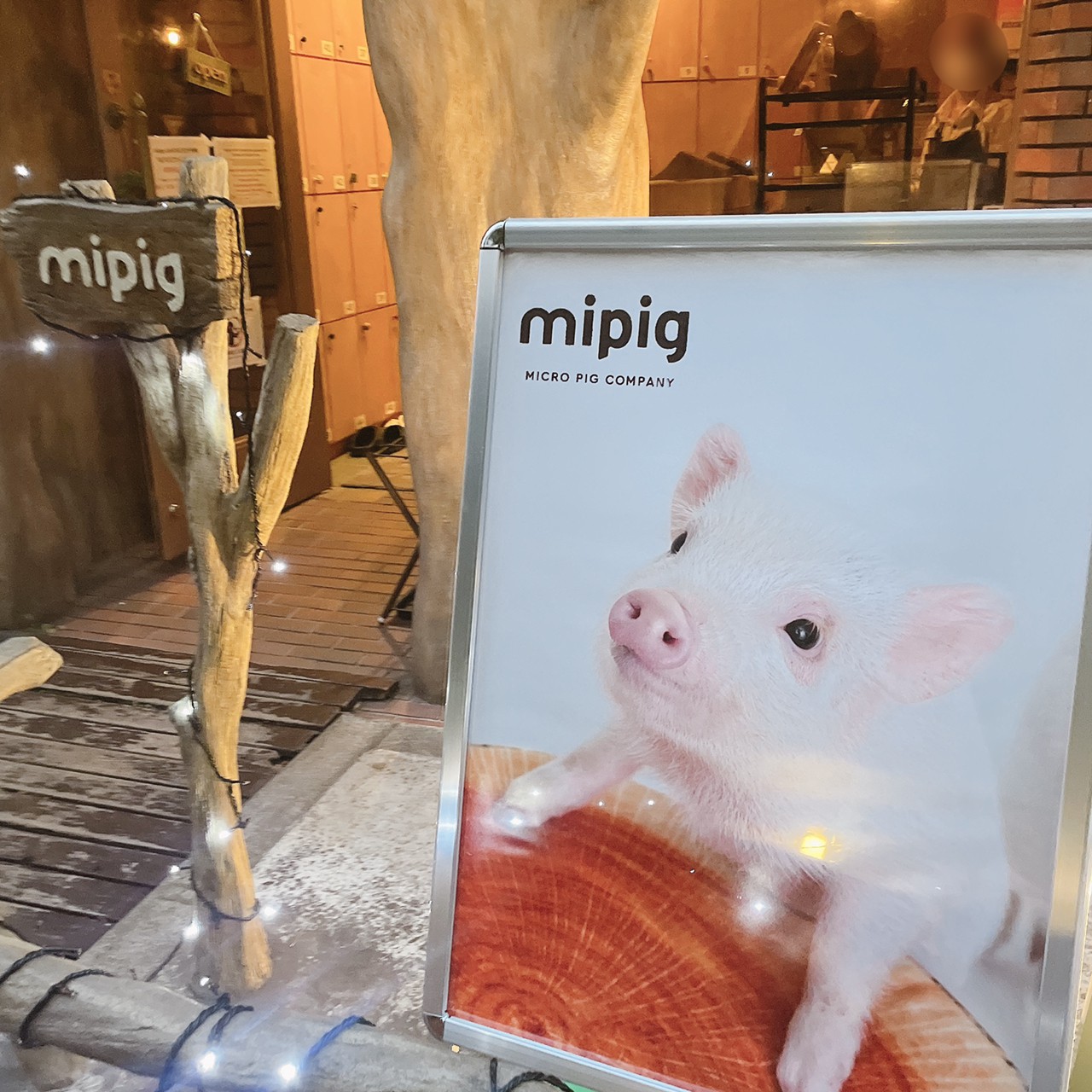 mipigCafe画像15