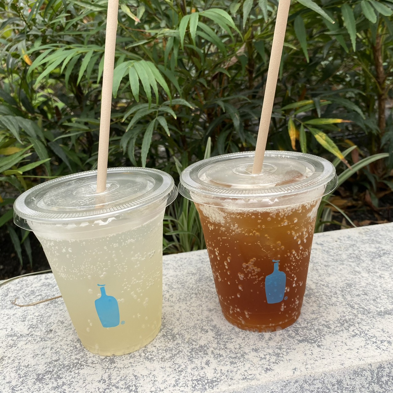 blue Bottle Coffee画像1