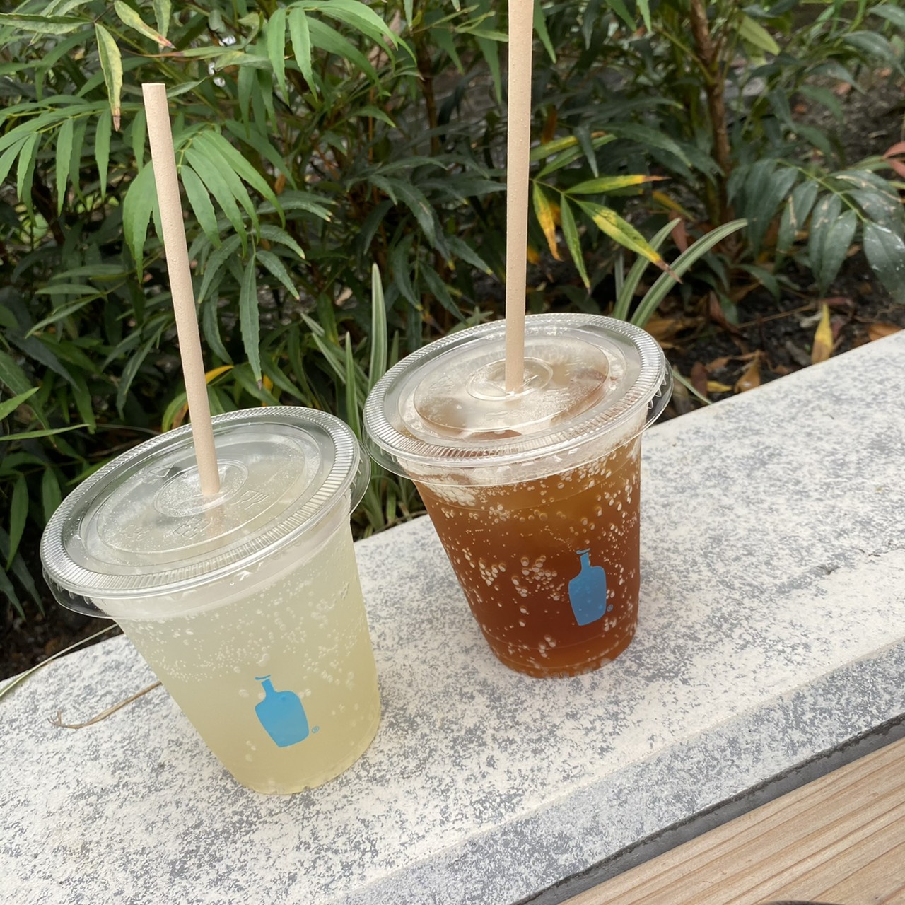 blue Bottle Coffee画像2