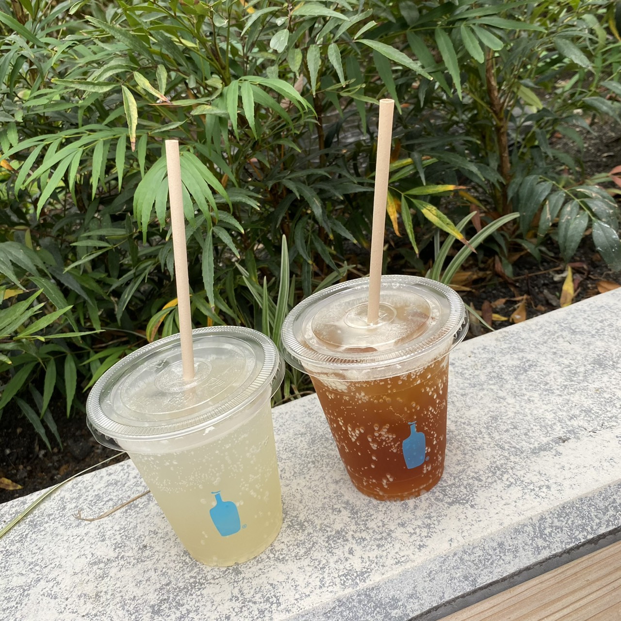 blue Bottle Coffee画像5